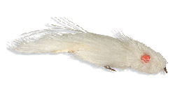White Tail Hare Fly