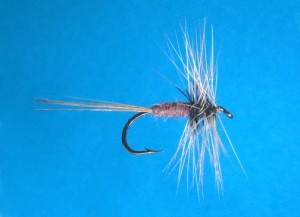 The Conover Fly