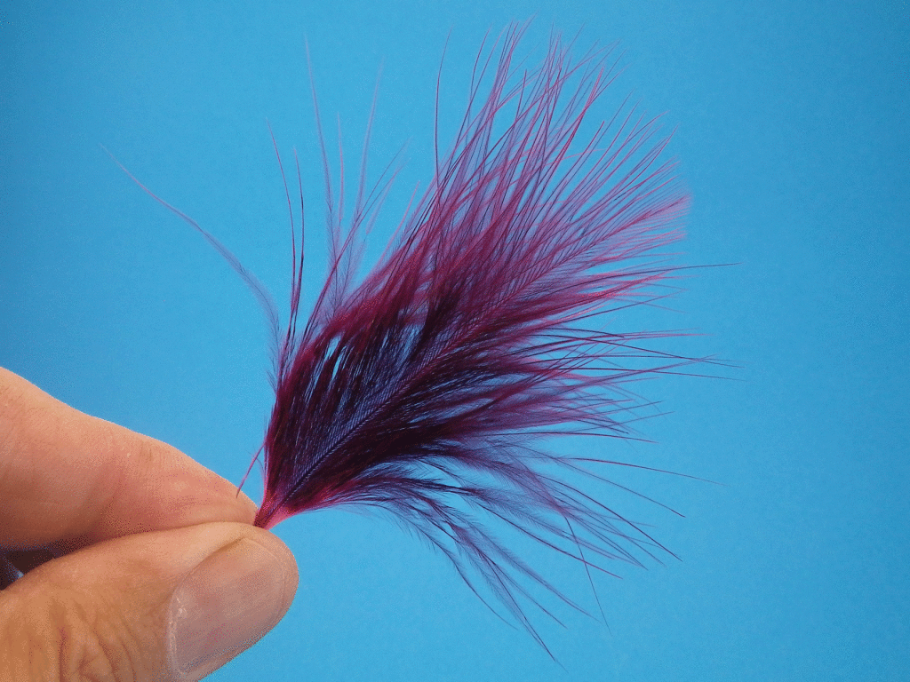 Blood Quill Fly